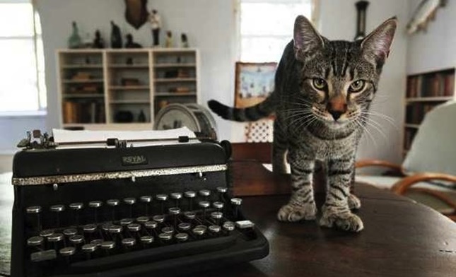 Hemingway Cats